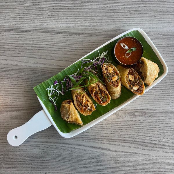 Veg Spring Roll