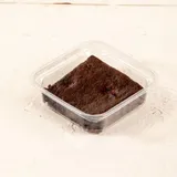 Cocoa Brownie
