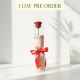 Single Red Rose In Tube