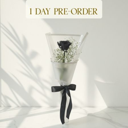 Single Black Rose With Baby’s Breath