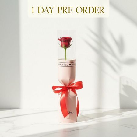 Single Red Rose In Tube