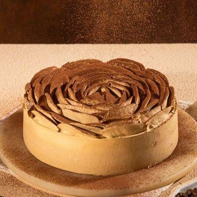 Tiramisu Cake