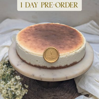 Plain Baked Cheese Cake