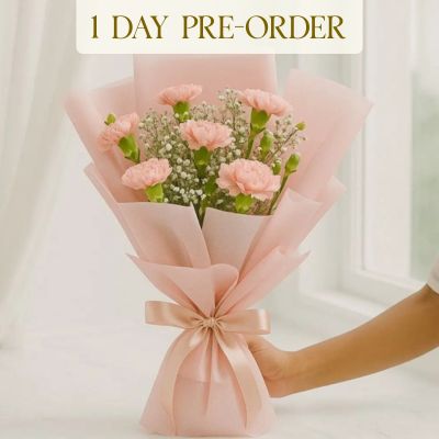 Carnation Hand Bouquet