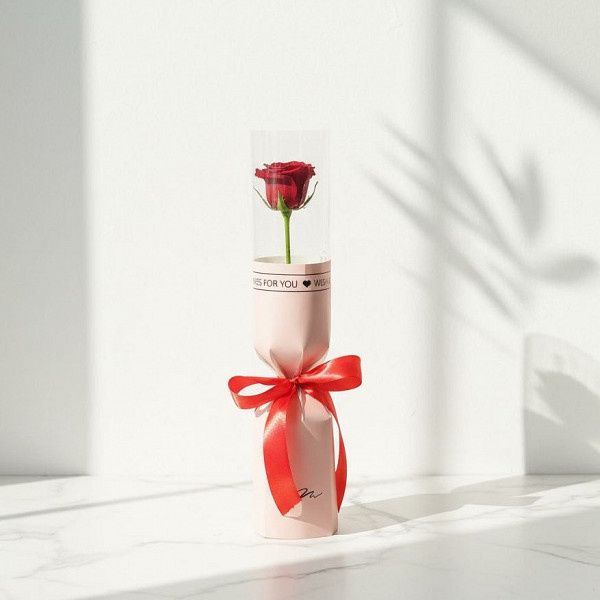 Single Red Rose In Tube