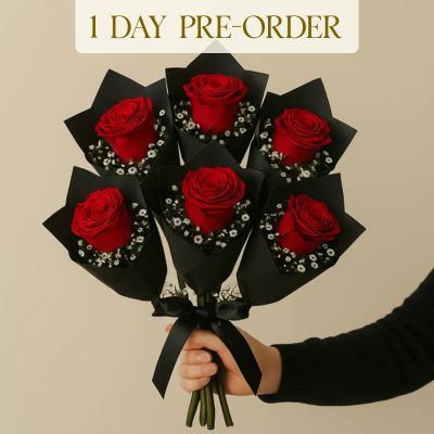 6 Red Roses In Chic Black Wrap