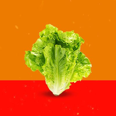 Lettuce