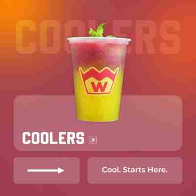 Coolers new