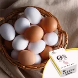 Egg