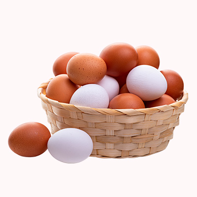 Egg new