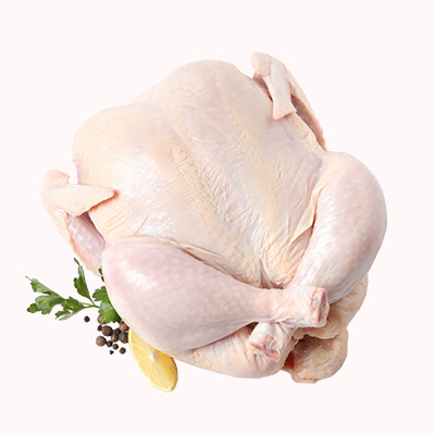 Chicken new