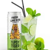 Fresh Lime Soda