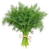 Dill