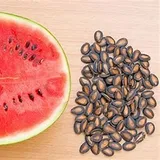 Watermellon Seeds
