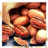 Pecans