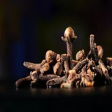 Clove Shrilankan Lal Pari
