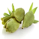 Cardamom 7.5 mm