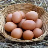 Country Chicken Eggs - free range -Pack of 6