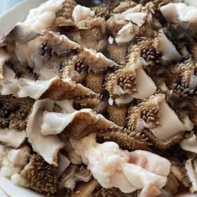 Goat Intestine (Boti/Kudal) 1Pcs