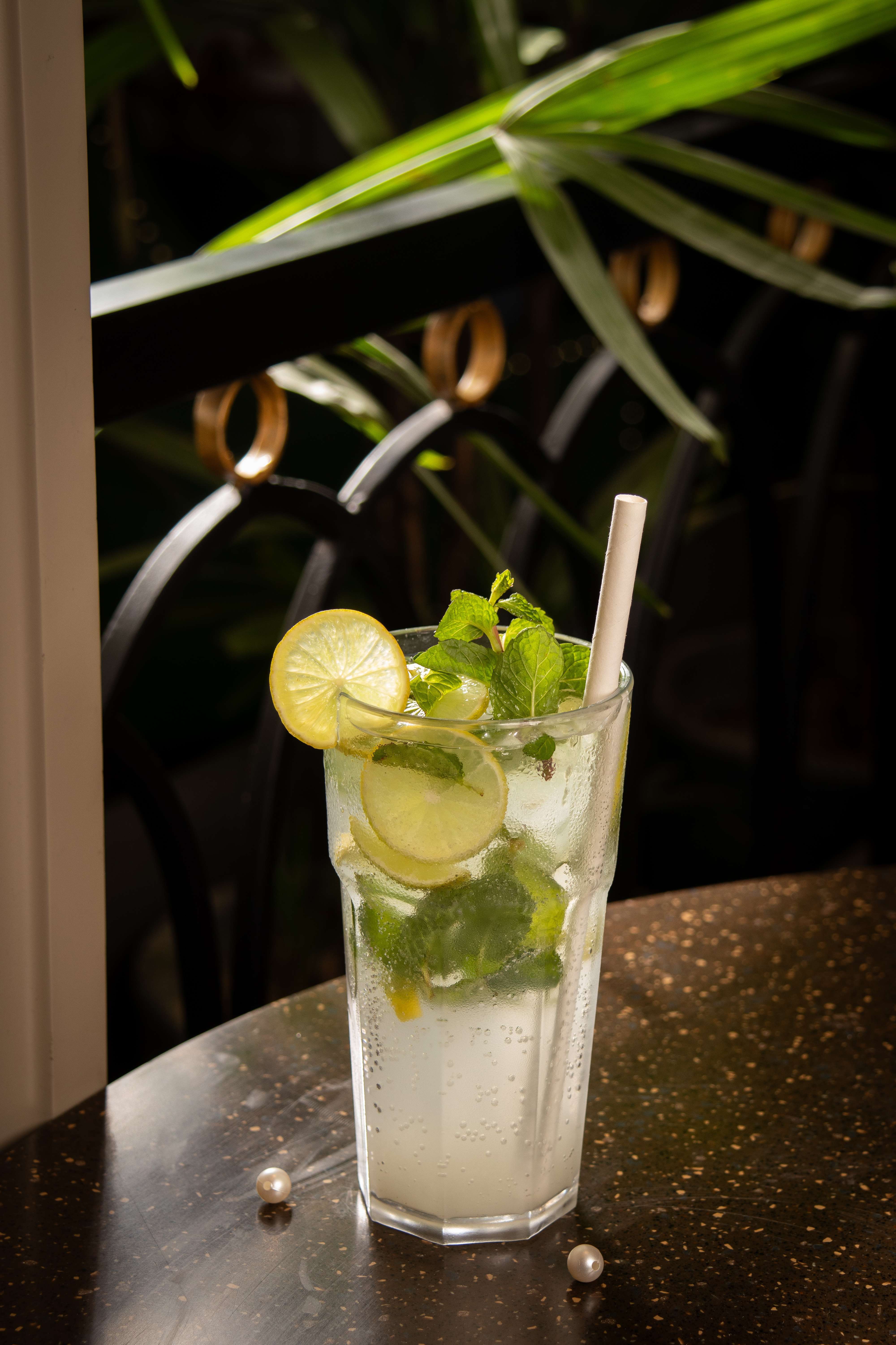 Mint Mojito