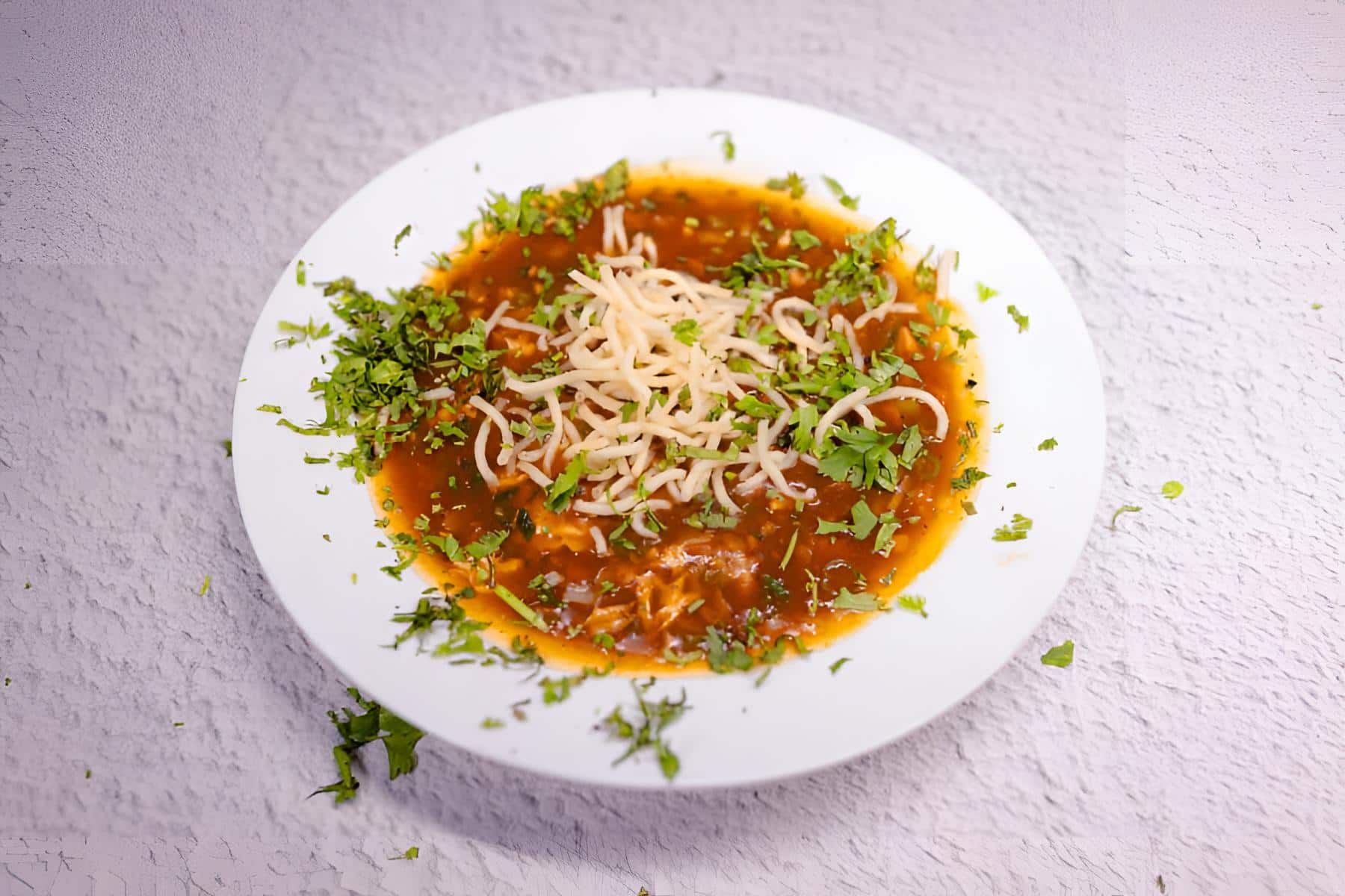 Non Veg Manchow Soup