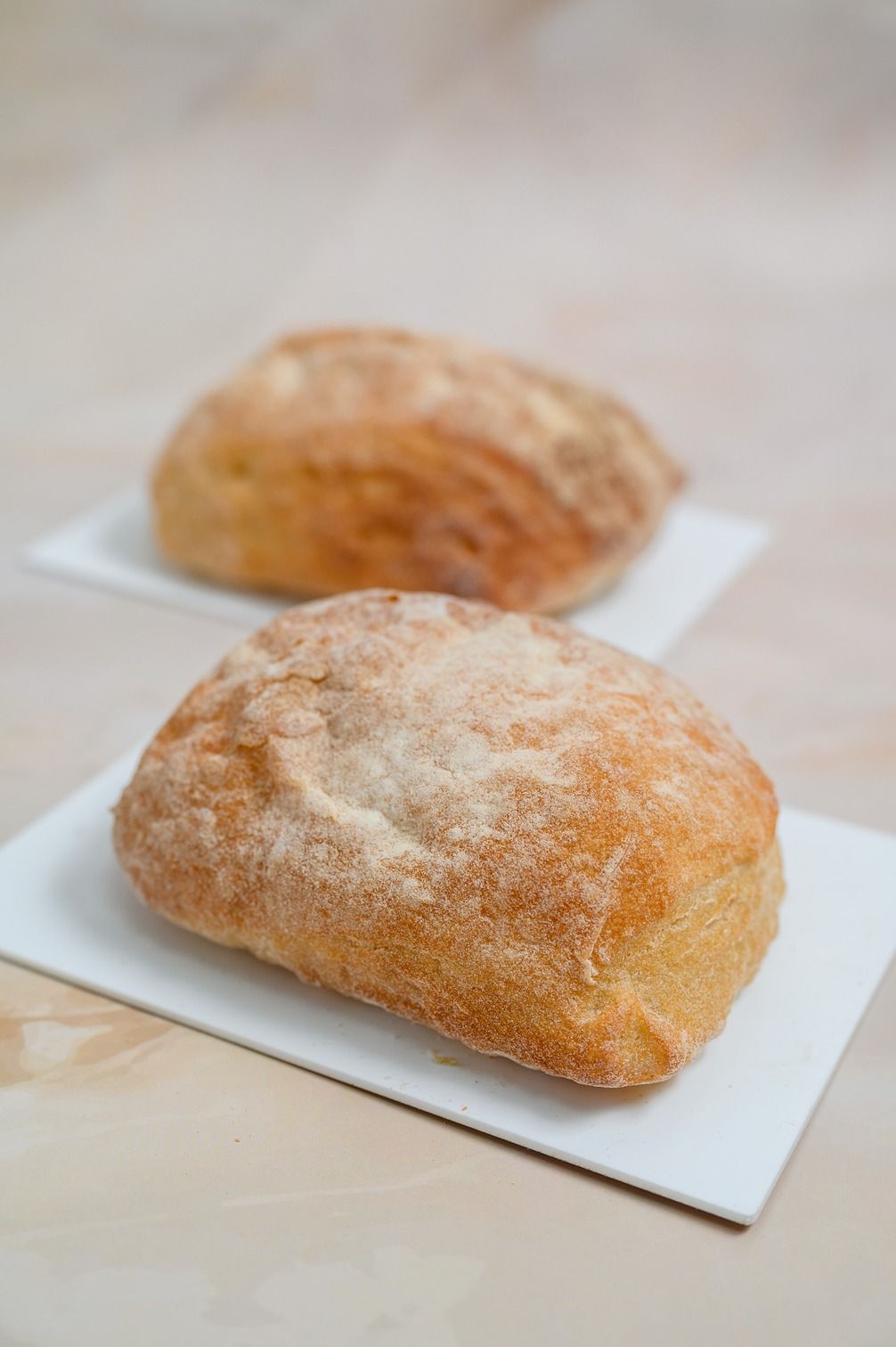 Plain Ciabatta
