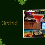 Wild Orchid