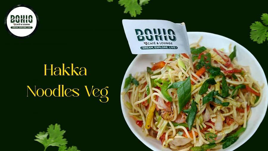 Veg Hakka Noodles