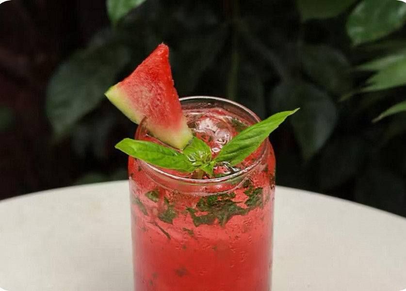 Watermelon Mojito