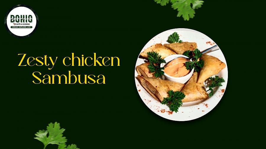 Zesty Chicken Sambusa