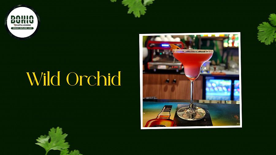 Wild Orchid