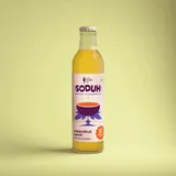 PAASIONFRUIT PUNCH