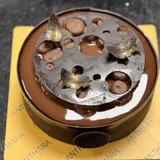 Hazelnut Bliss Royale
