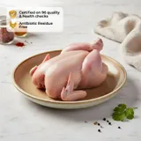 Tender Spring Chicken UNCUT (700 To 800g))