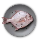 Fish & Seafood