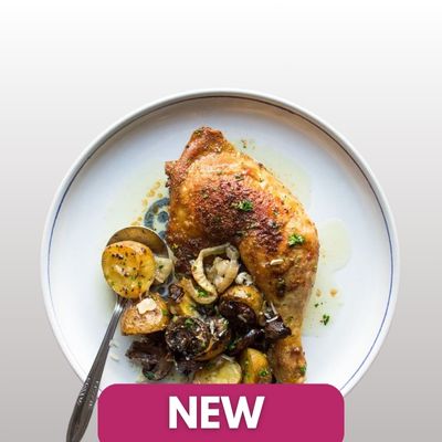 New Launch
