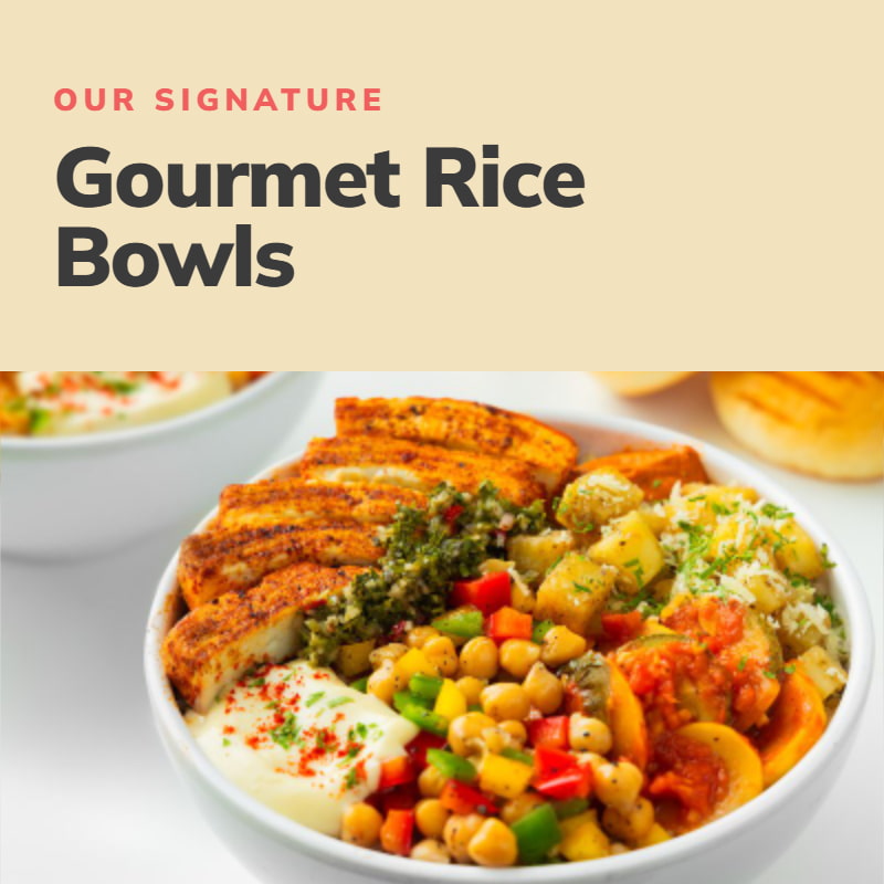 Gourmet Rice Bowls