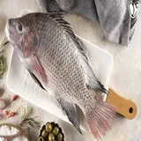 Tilapia Fillet