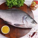 Catla Fish Fillet