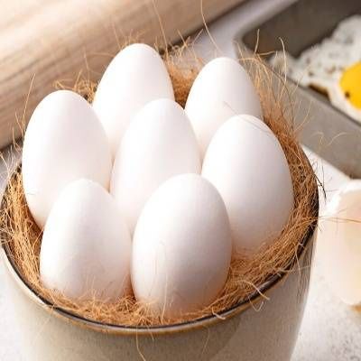 Eggs 6 Pcs