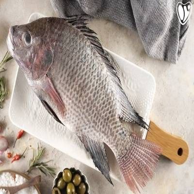 Tilapia Fillet