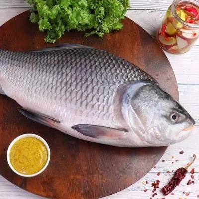 Catla Fish Fillet