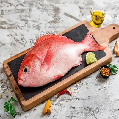 Red Snapper Fillet
