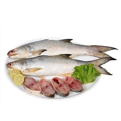 Indian Salmon