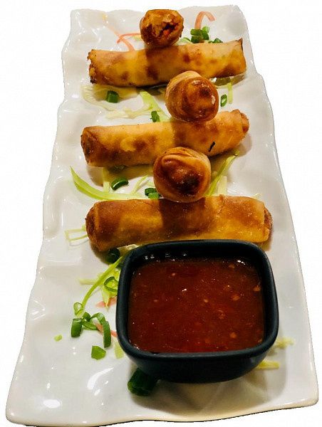 Veg Spring Roll