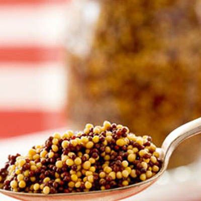Lacto Fermented Mustard 200g
