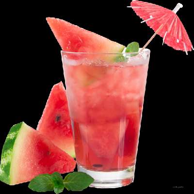 Watermelon Mojito