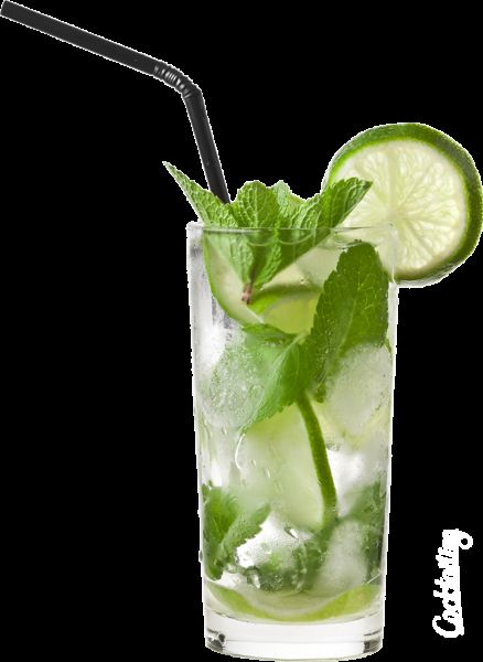 Mint Mojito