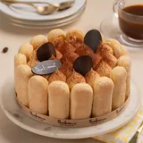 Tiramisu Cake [660g]
