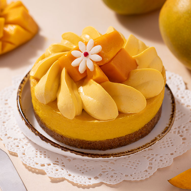 Mango Bento Mini Cheesecake [350 g]